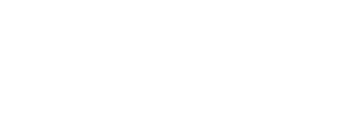 Логотип Partner Lombard